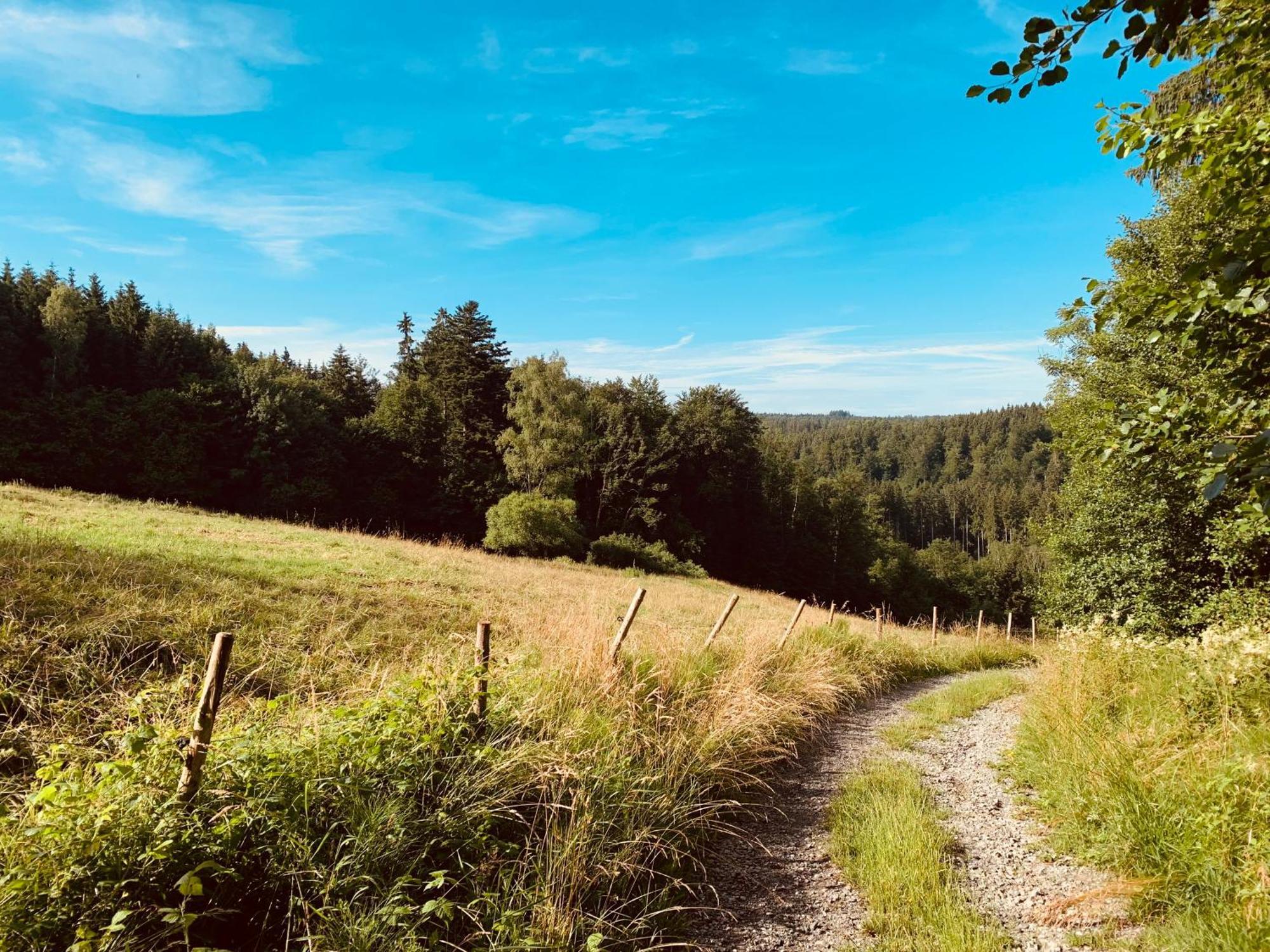 Hjem - Tiny Homes Direkt Am Wald Zwischen Allgaeu & Bodensee Bergatreute Екстер'єр фото
